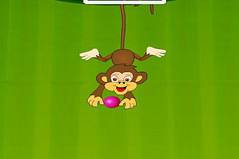Талант Обезьяны - Monkeys Talent